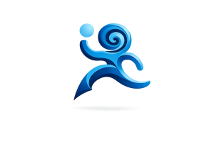 Aula Virtual AMCFD